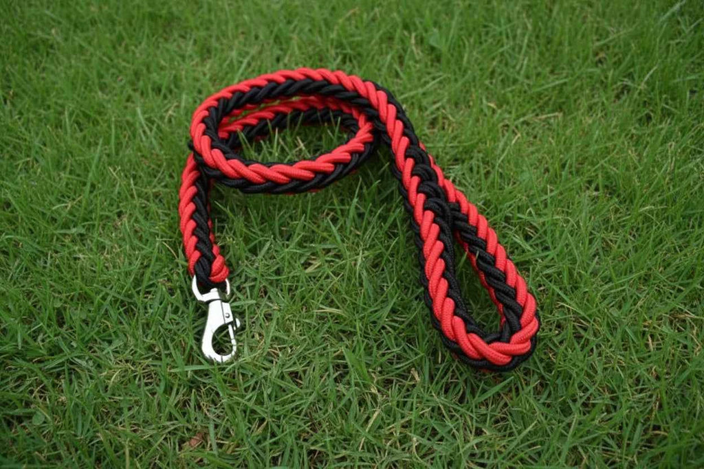 Large Breed Nylon Leash
