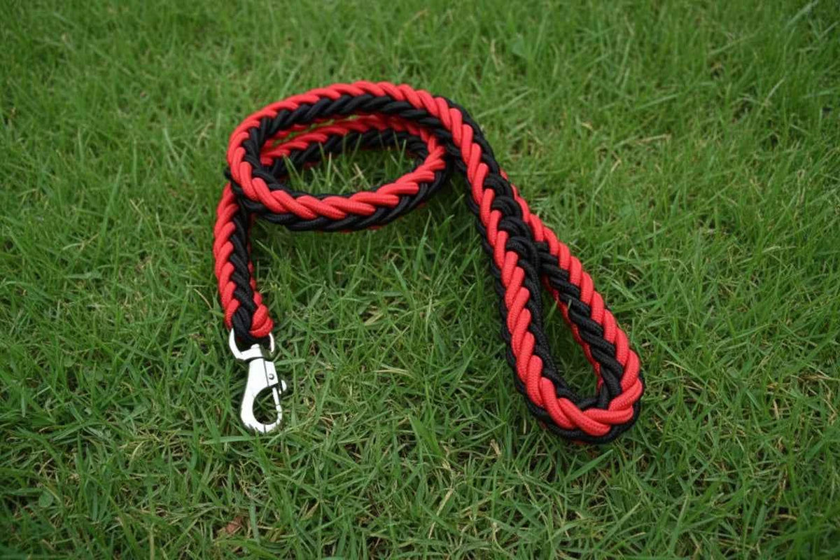 Large Breed Nylon Leash