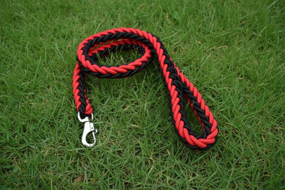 Large Breed Nylon Leash