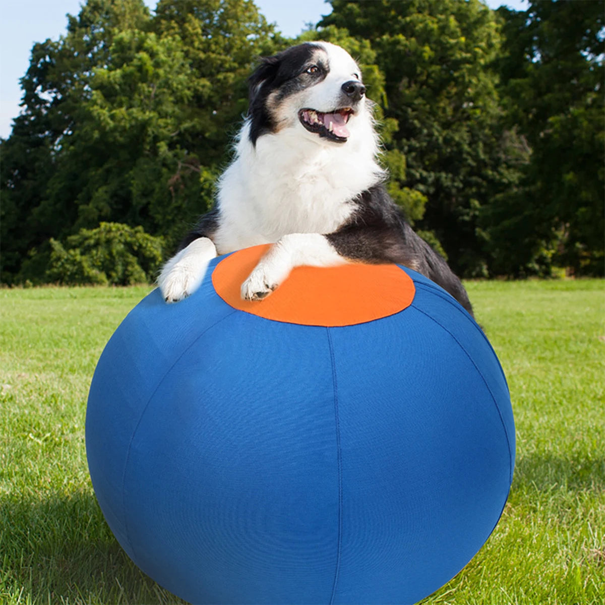 Inflatable Herding Ball for Dogs