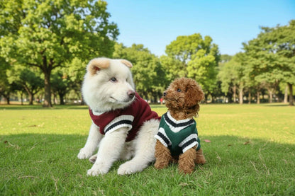 Pet Letterman Sweater