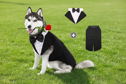 Doggy Tuxedo
