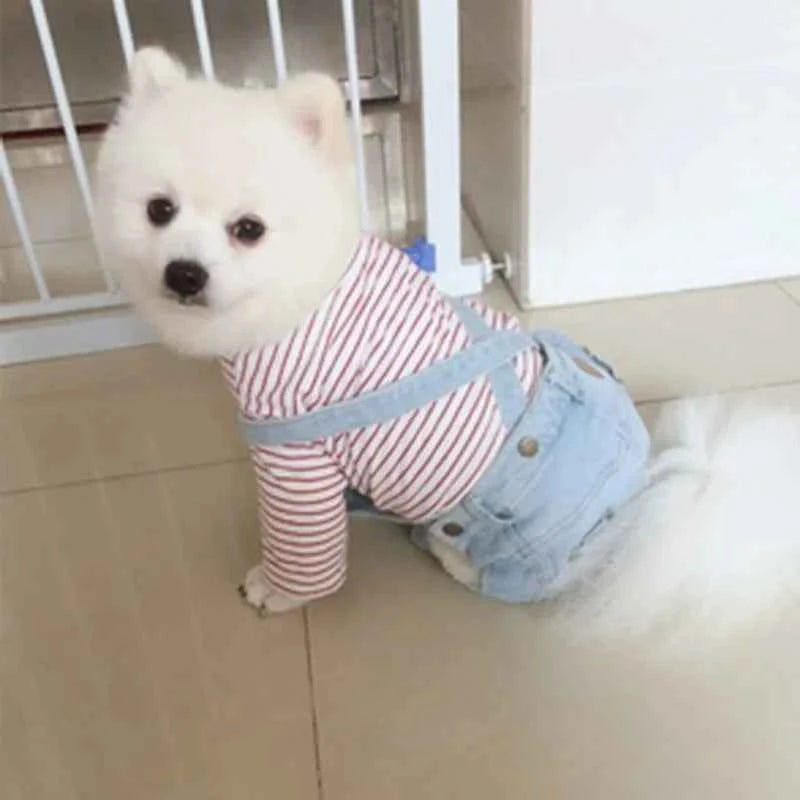 Comfort & Style: Small Breed Denim Cover-All for Adventurous Pets