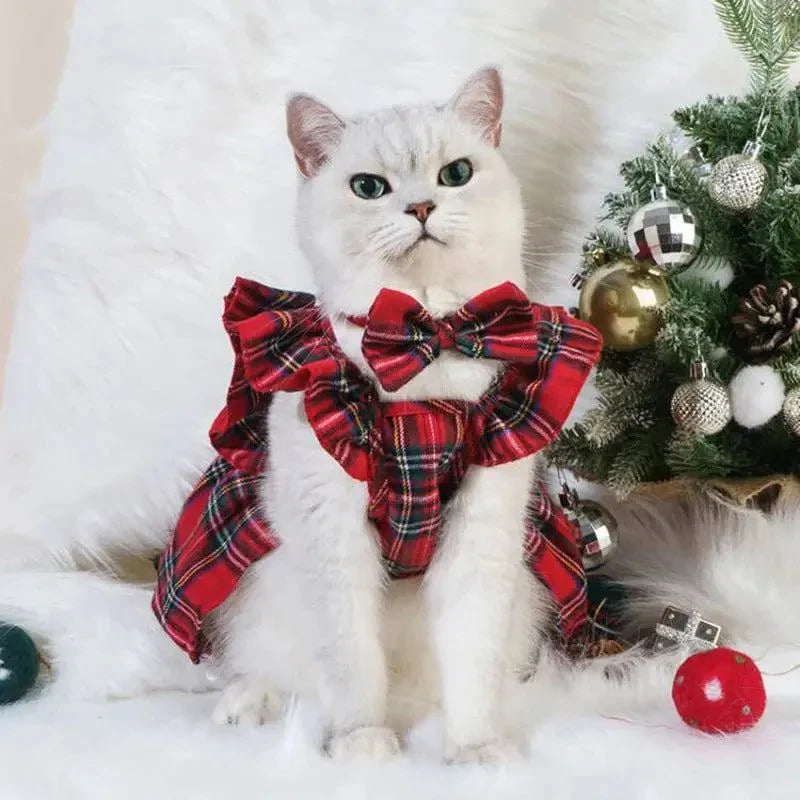 Formal Cat Holiday Dress