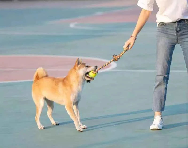 Pet Tug Rope