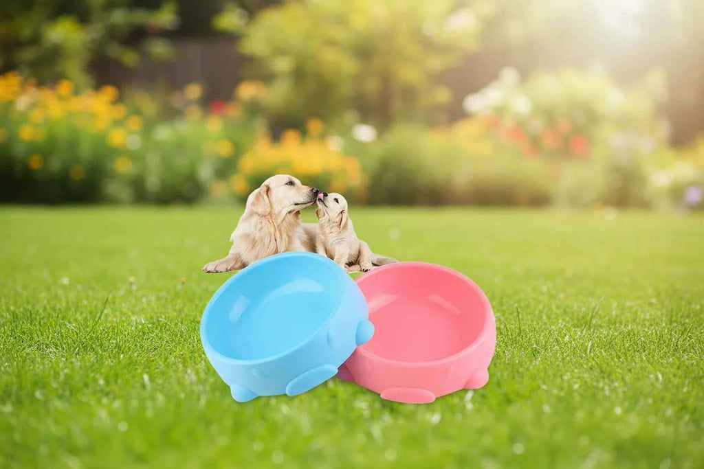 Plastic Pet Bowl
