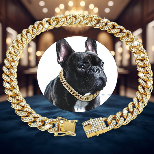Gold Plated Pet Cuban link