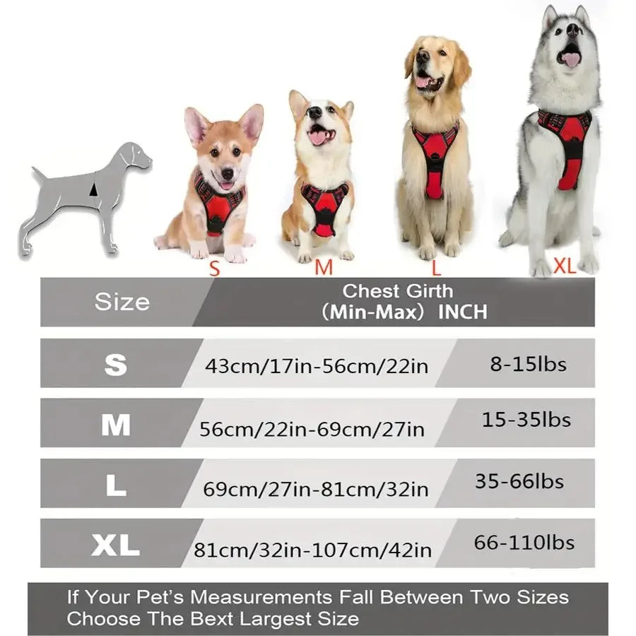Dog Harness Collar & Leash Set Front View
