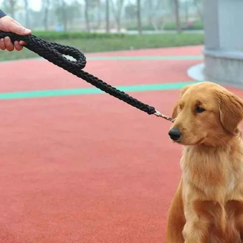 Large Breed Nylon Leash