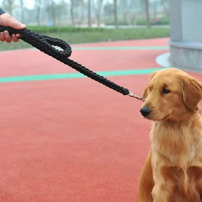 Large Breed Nylon Leash