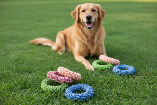 Dog Rope Chew Toy