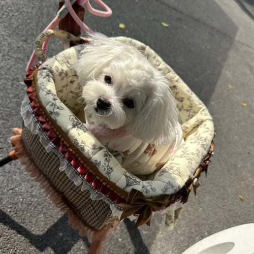 2026 Foldable Pet Stroller for Small Dogs & Cats - Waggy World