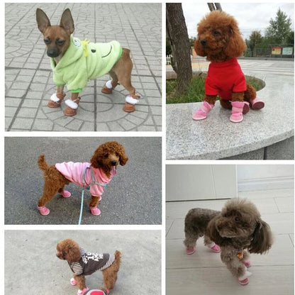 Winter Pet Boots