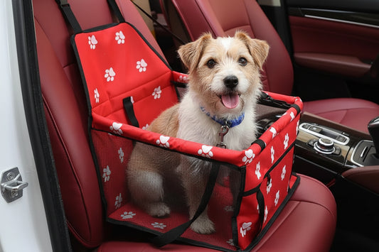 Pet Car Seat