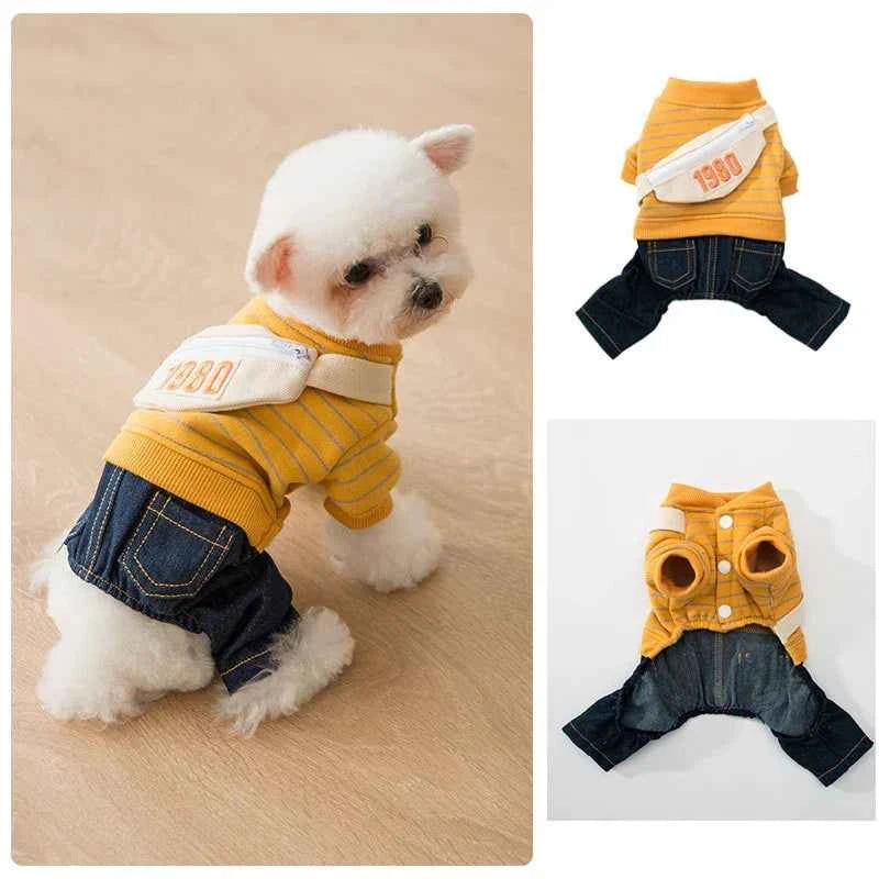 Pup School Outfit