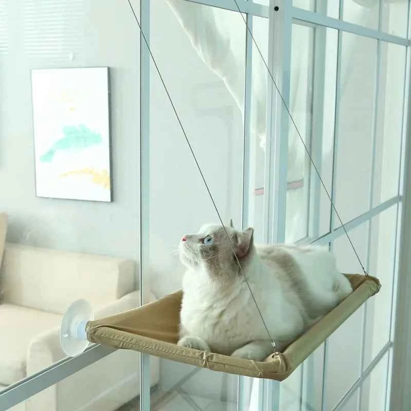 Kitty Hamock
