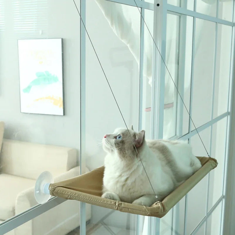 Kitty Hamock
