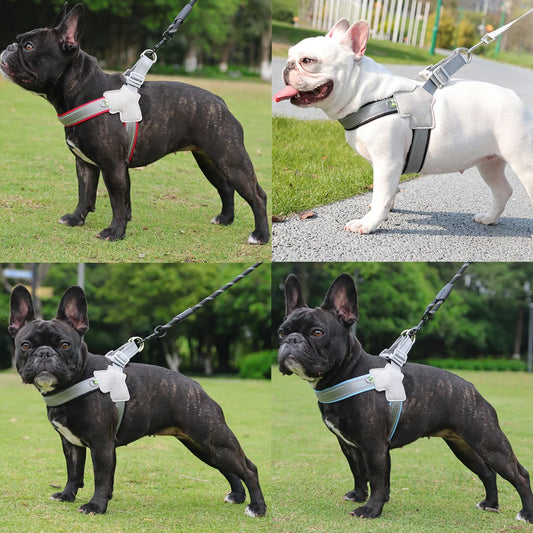 Reflective Pet Harness