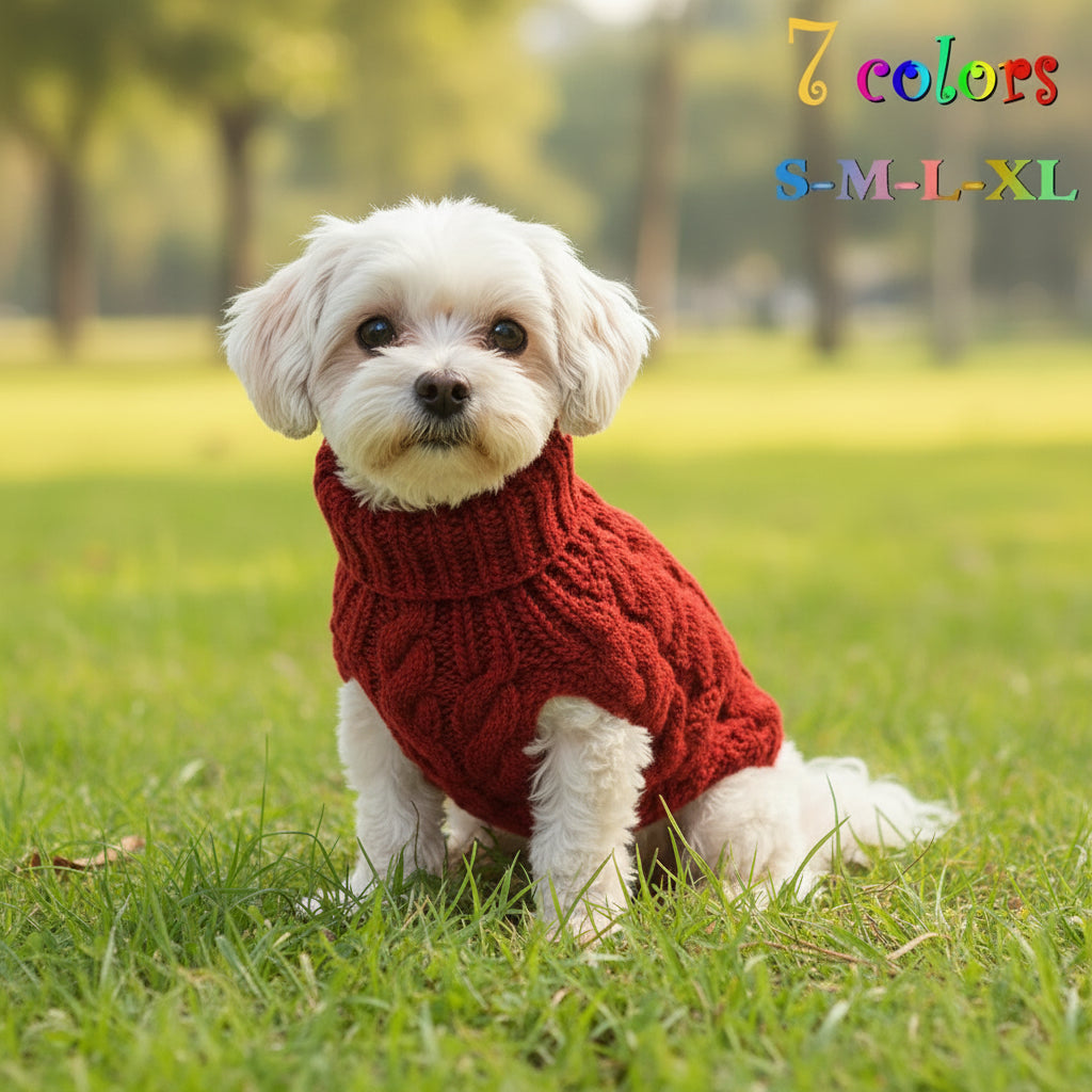 Winter Turtle Neck Sweater - Waggy World