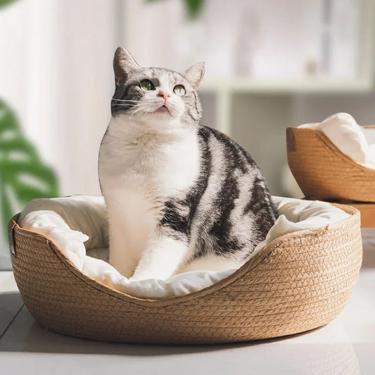 Plush Pet Basket