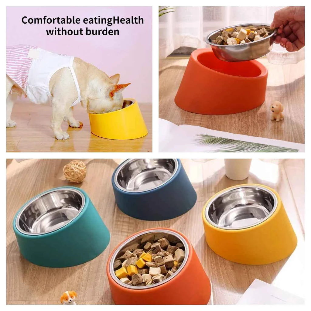 Slanted Pet Bowl