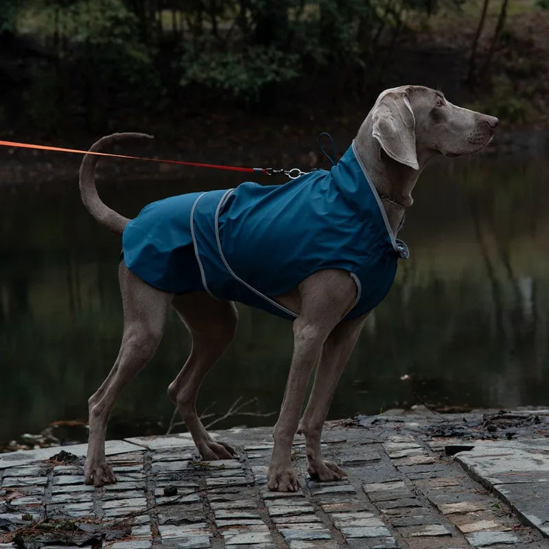 Pet Outdoor Waterproof Jacket