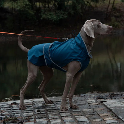 Pet Outdoor Waterproof Jacket