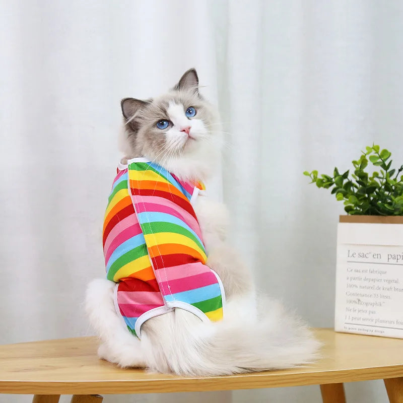 Cat Summer Shirt - Waggy World