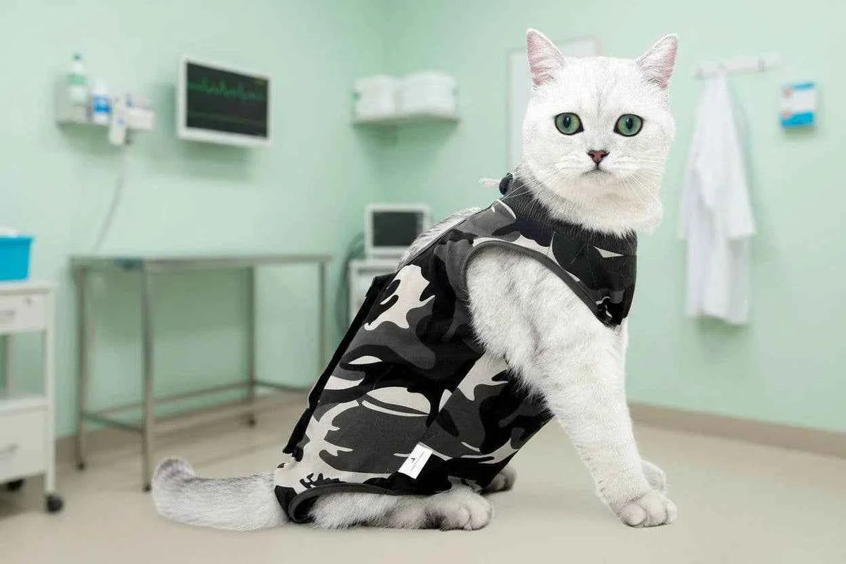 Post Surgery Cat Onesie