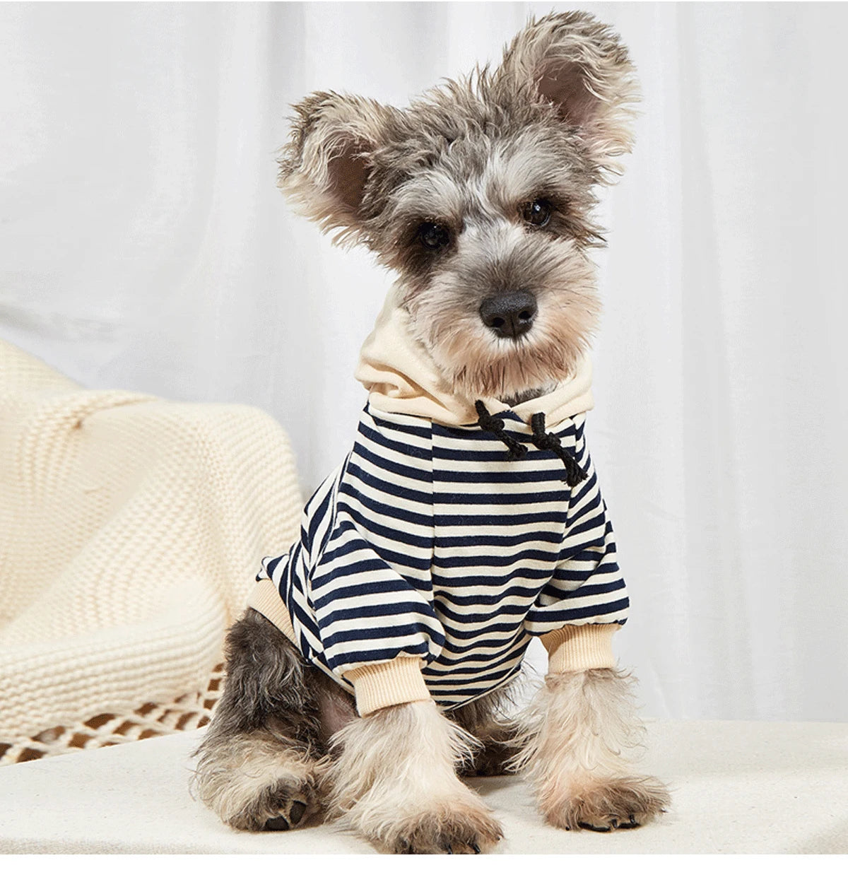 Pet Polo Shirt