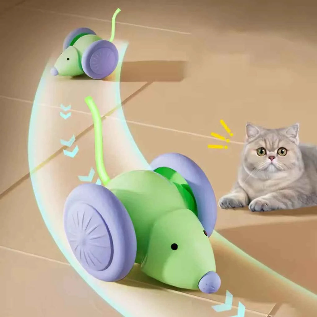 Electric Mouse
