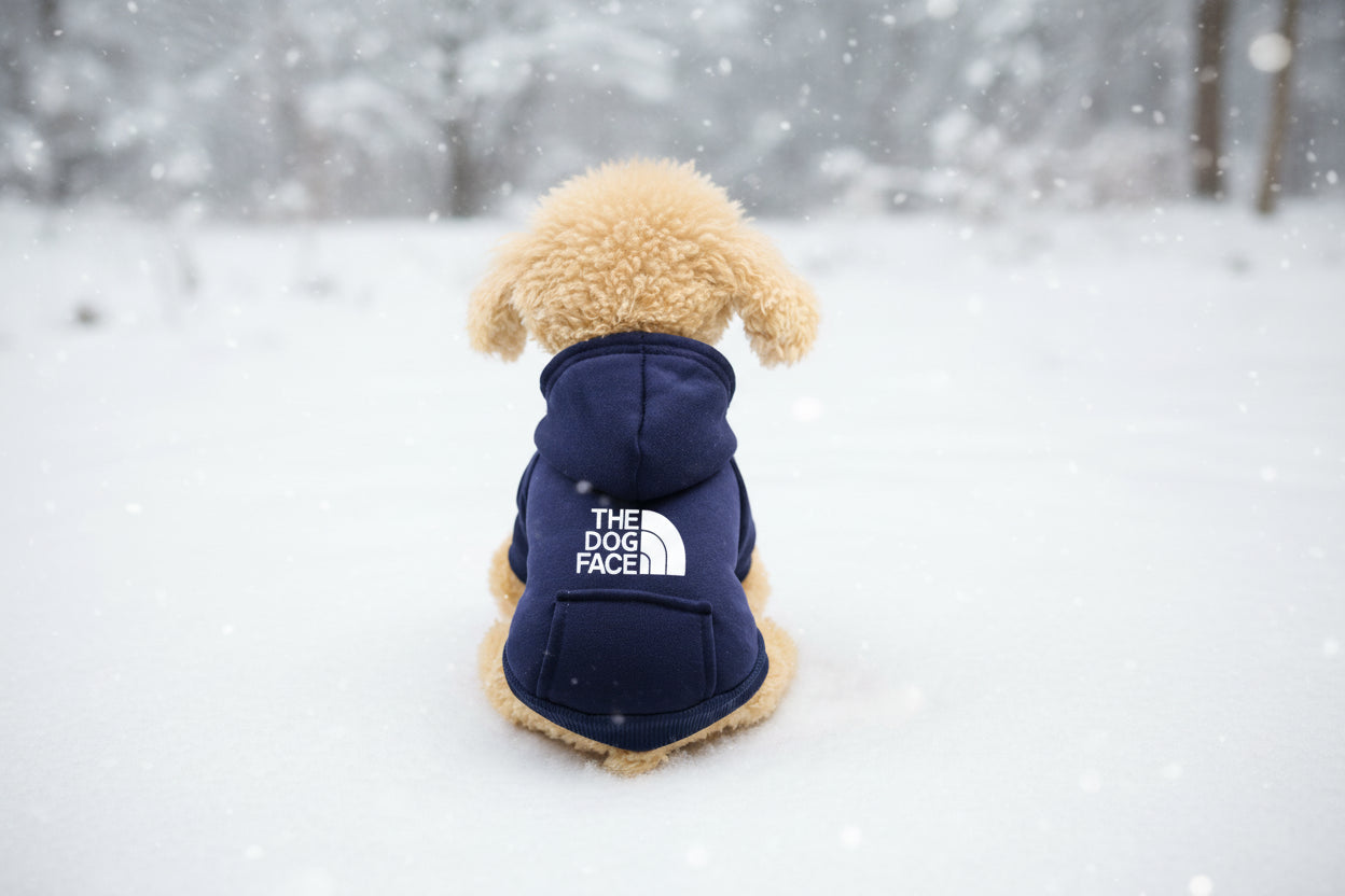 Pet Hoodie