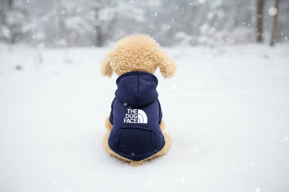 Pet Hoodie