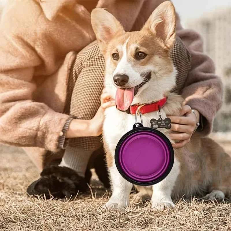 Collapsible Travel Water Bowl