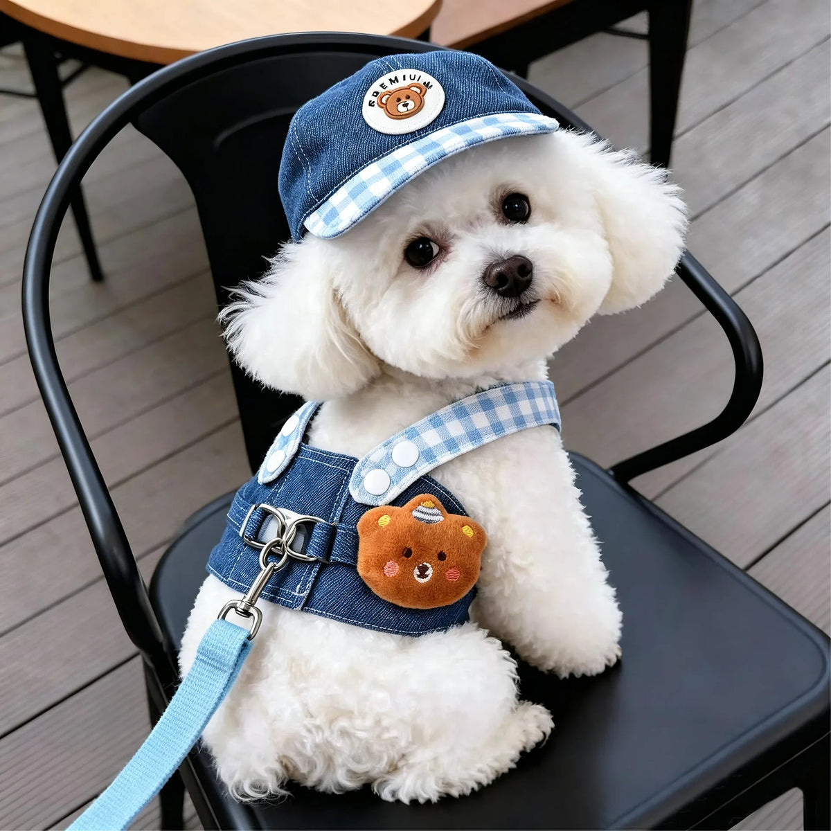 Small Breed Denim Harness and Hat - Waggy World