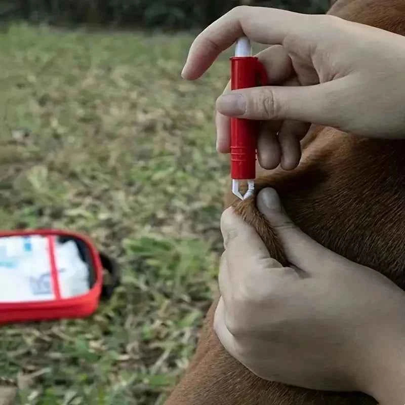 Portable Pet First Aid Kit: Essential Care for Your Furry Friends