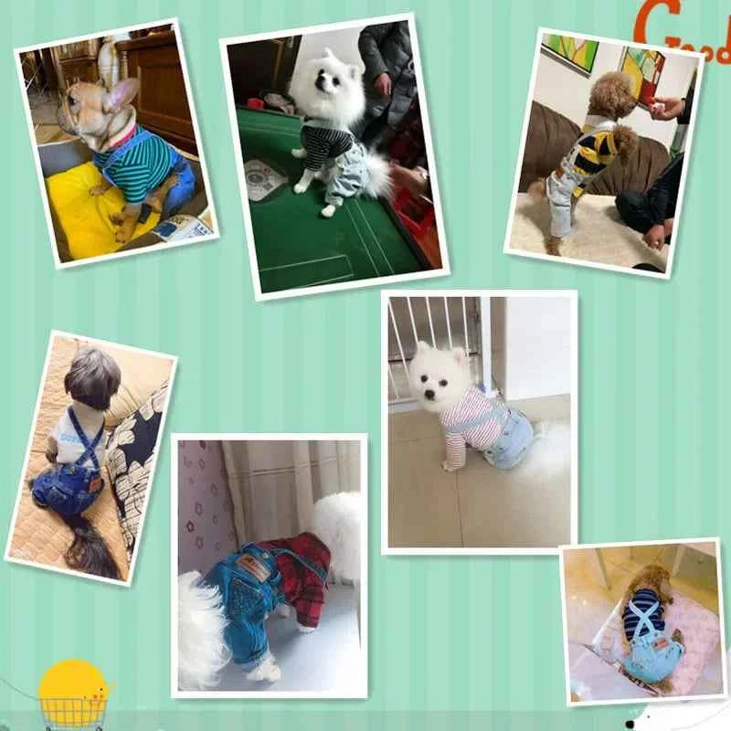 Comfort & Style: Small Breed Denim Cover-All for Adventurous Pets