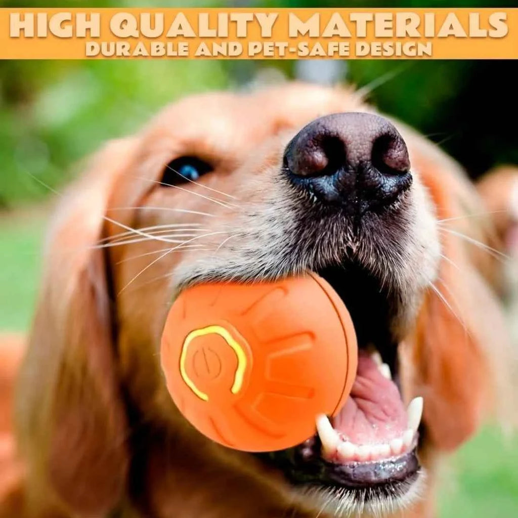 Pet Gravity Ball