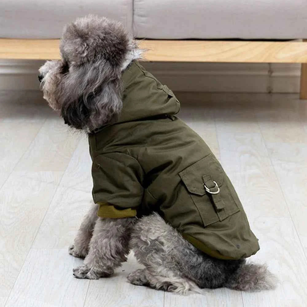 Doggy Jacket