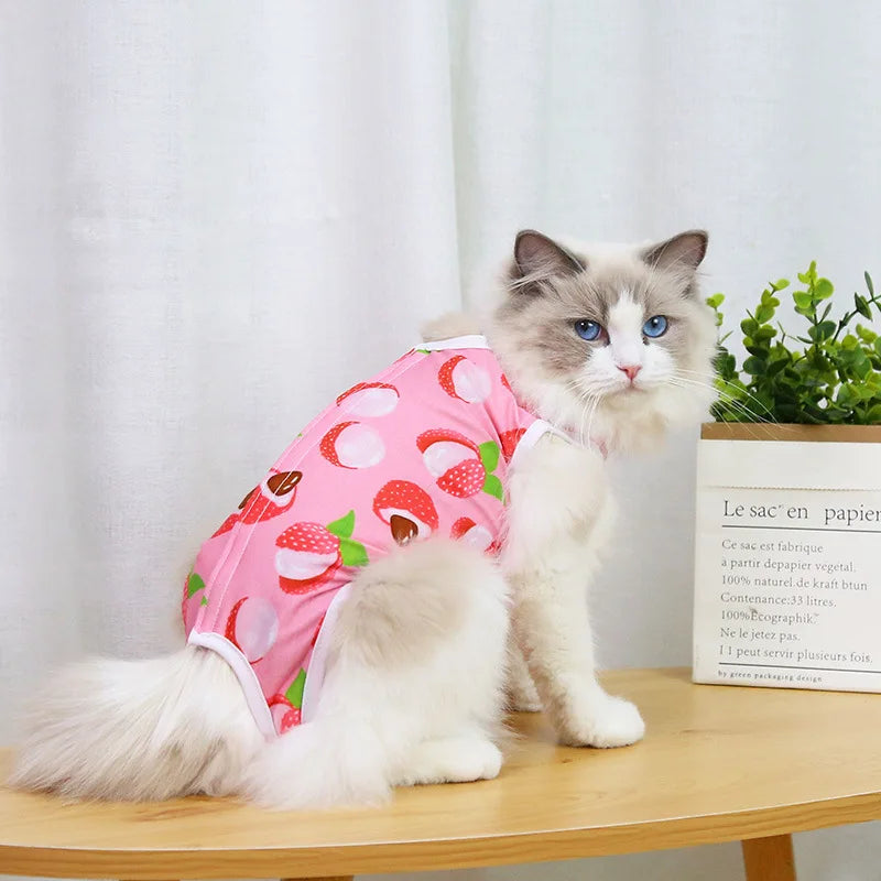 Cat Summer Shirt - Waggy World