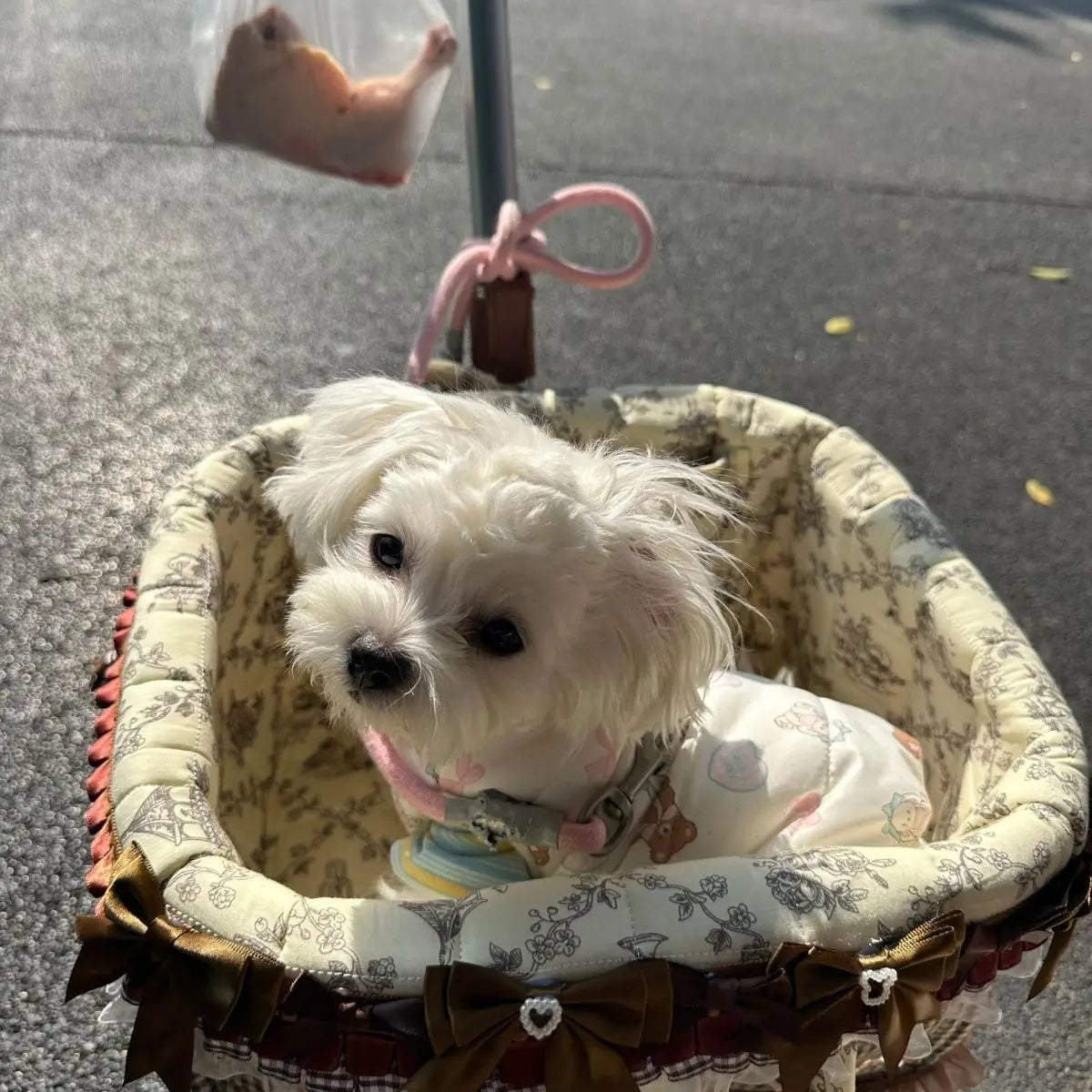 2026 Foldable Pet Stroller for Small Dogs & Cats