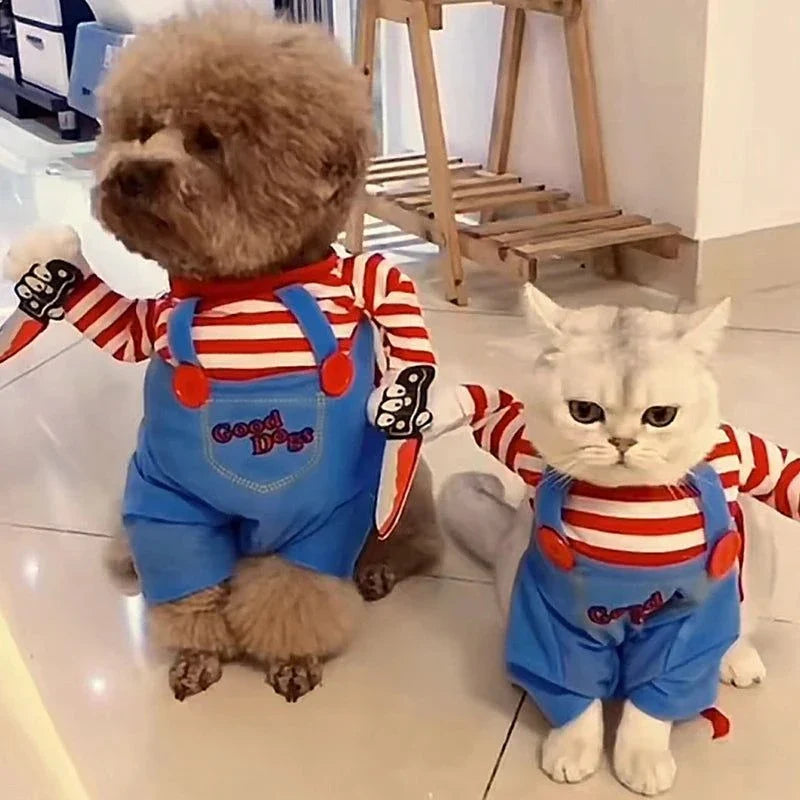 Chucky cat costume