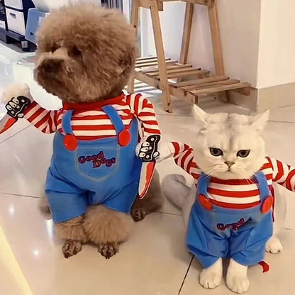 Chucky cat costume