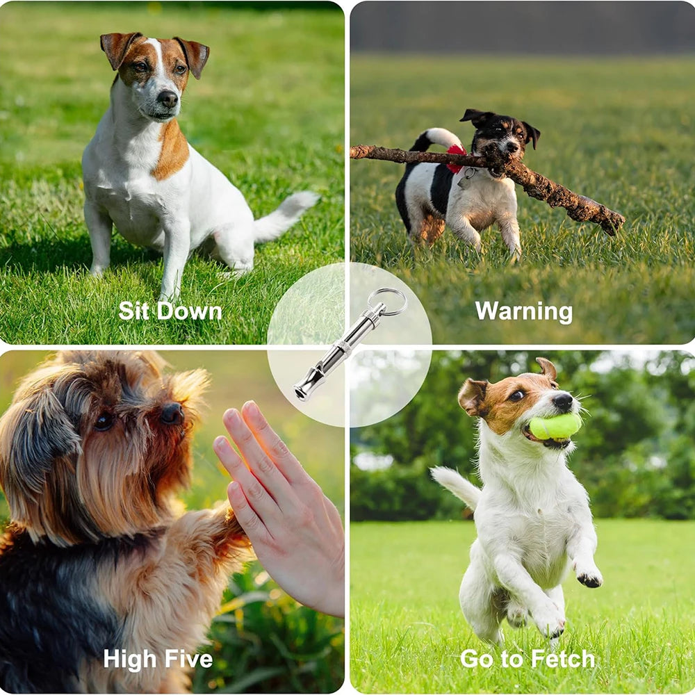 Dog Training Whistle for Obedience Training