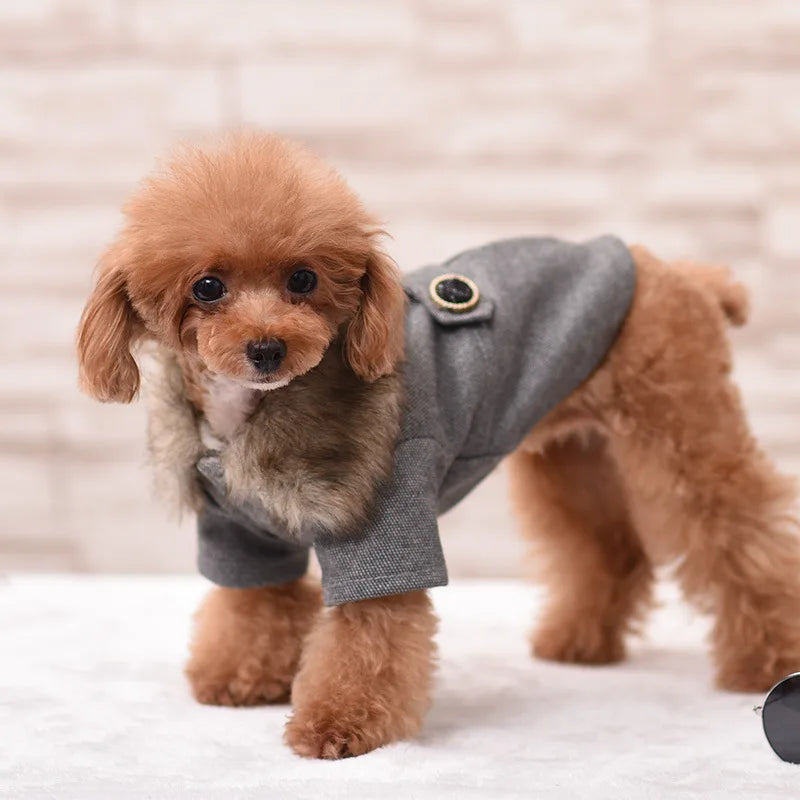 Doggy's Wool Winter Coat