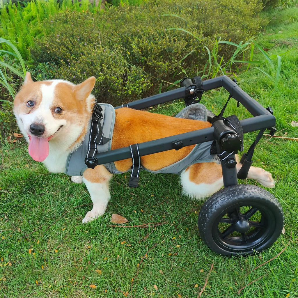 Pet Rehabilitation Mobility Cart - Waggy World