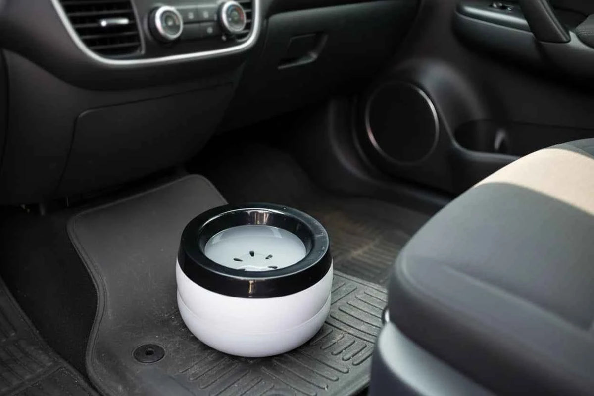 Car Water Bowl