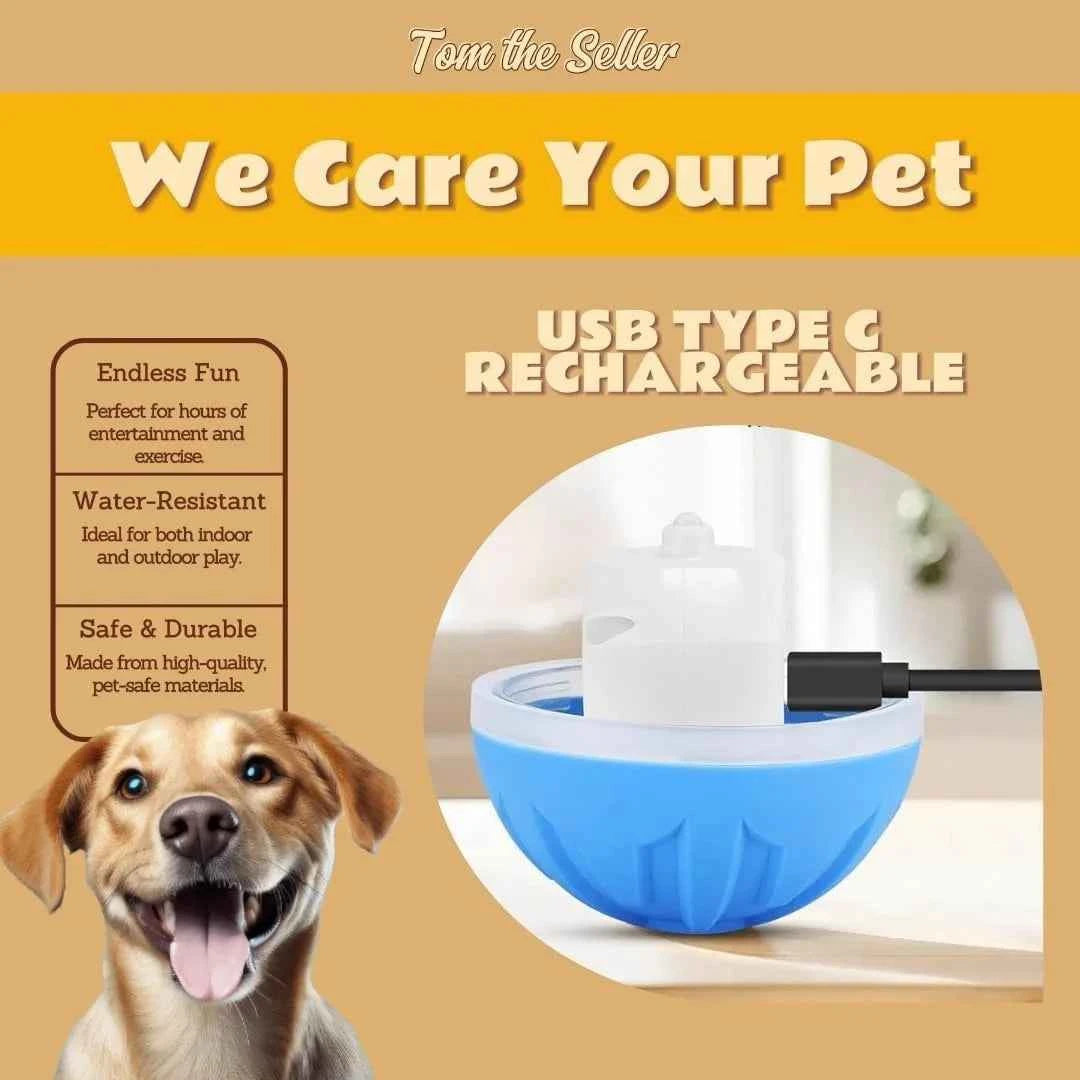 Pet Gravity Ball