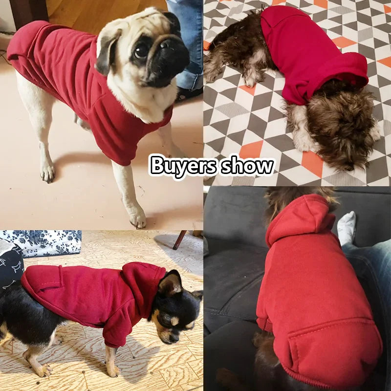 Doggy Plain Hoodie
