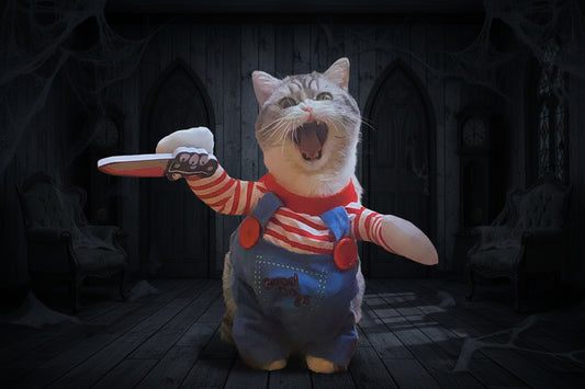 Chucky Cat Costume